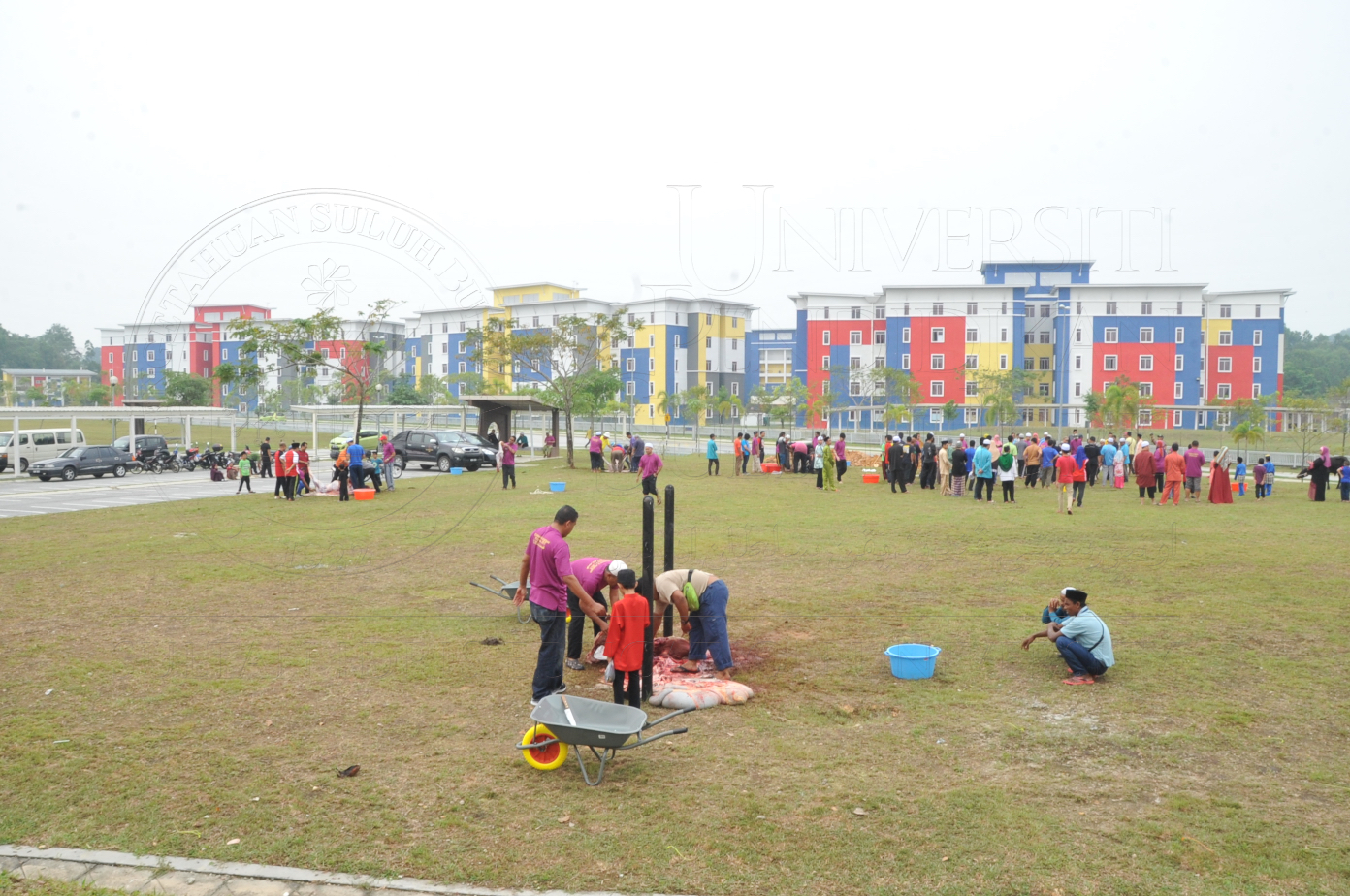 PRO15 150 KORBAN HAS 6860